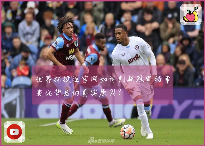 世界杯投注官网如何判断冠军赔率变化背后的真实原因？