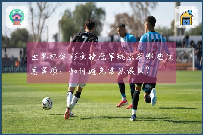 世界杯体彩竞猜冠军玩法有哪些注意事项，如何避免常见误区？
