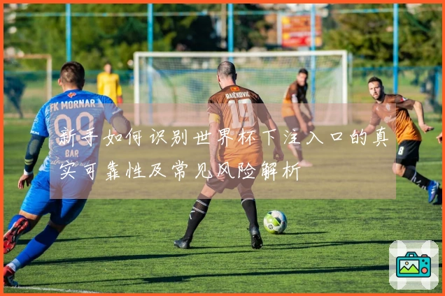 新手如何识别世界杯下注入口的真实可靠性及常见风险解析