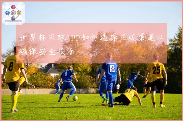 世界杯买球app如何选择正规渠道以确保安全投注