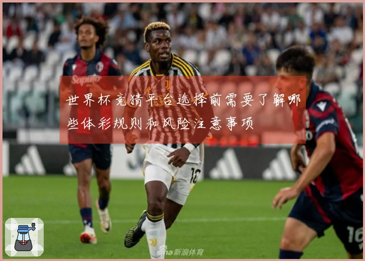 世界杯竞猜平台选择前需要了解哪些体彩规则和风险注意事项