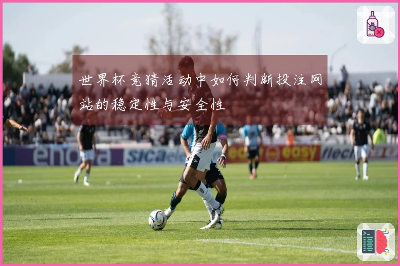 世界杯竞猜活动中如何判断投注网站的稳定性与安全性