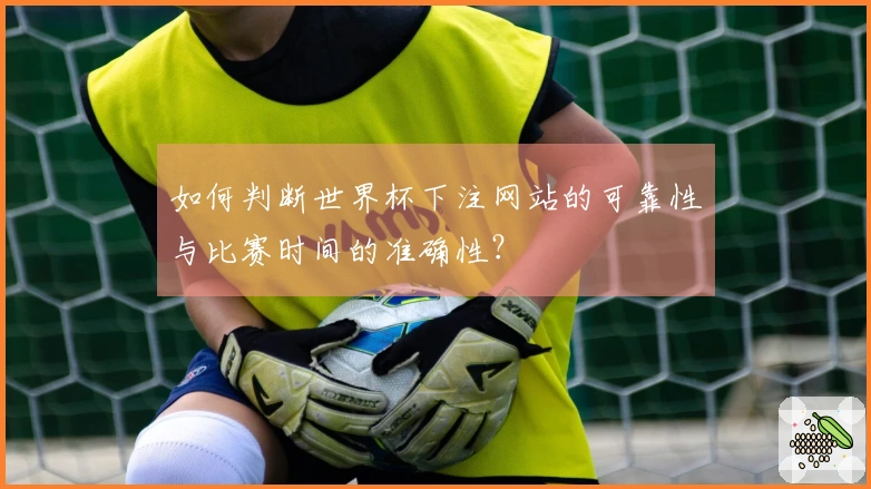 如何判断世界杯下注网站的可靠性与比赛时间的准确性?